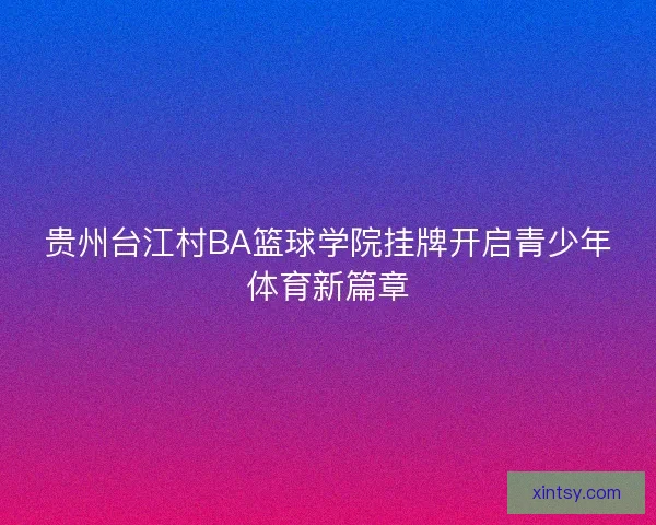 贵州台江村BA篮球学院挂牌开启青少年体育新篇章